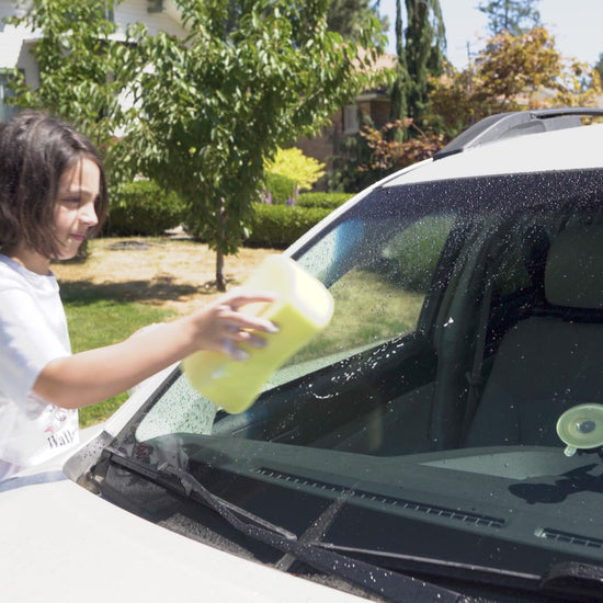 Car Wash Sponges