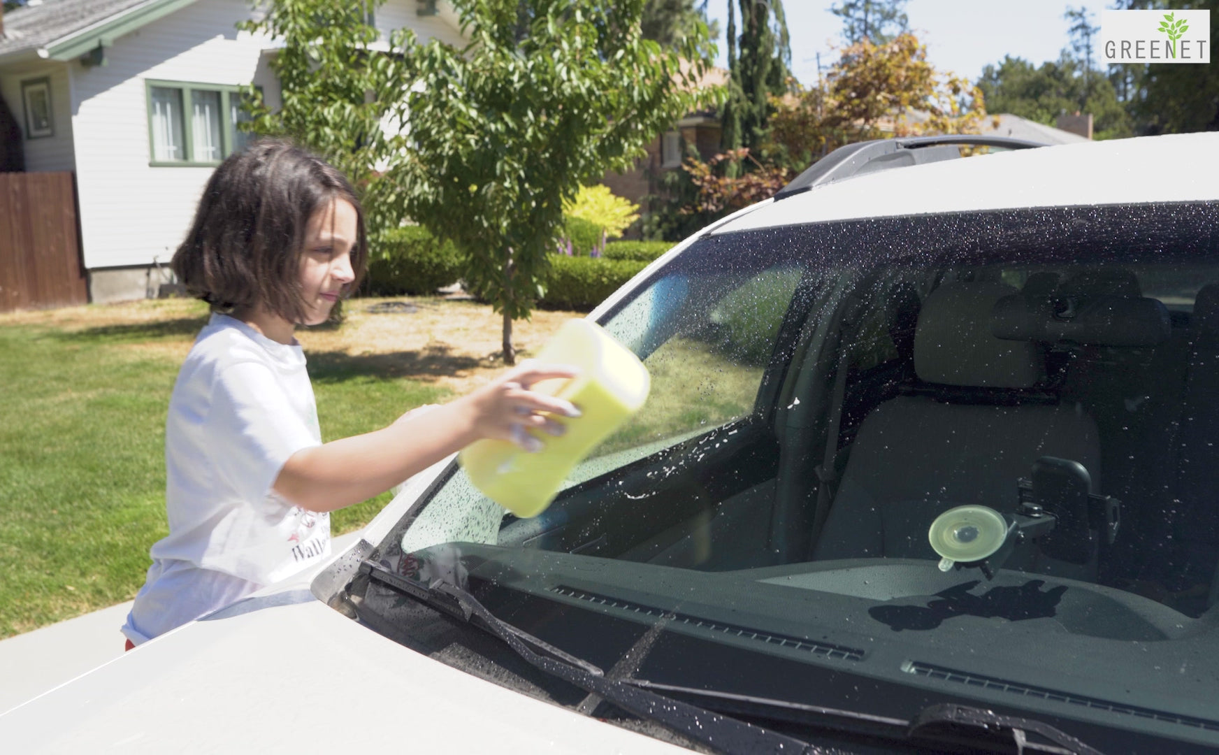 Car Wash Sponges